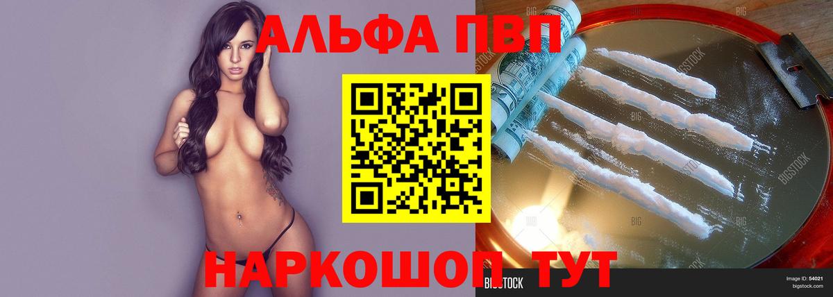 APVP СК КРИС Великий Новгород