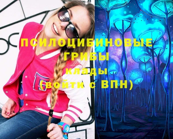 круглые Нягань