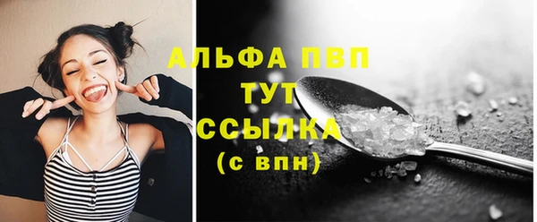 твердый Няндома