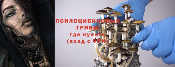 твердый Няндома