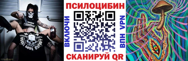 купить   Великий Новгород  Псилоцибиновые грибы Psilocybine cubensis 