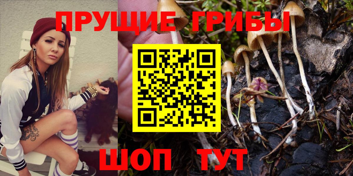 купить  цена  Псилоцибиновые грибы MAGIC MUSHROOMS  Галлюциногенные грибы Magic Shrooms  Вход с VPN  Великий Новгород 