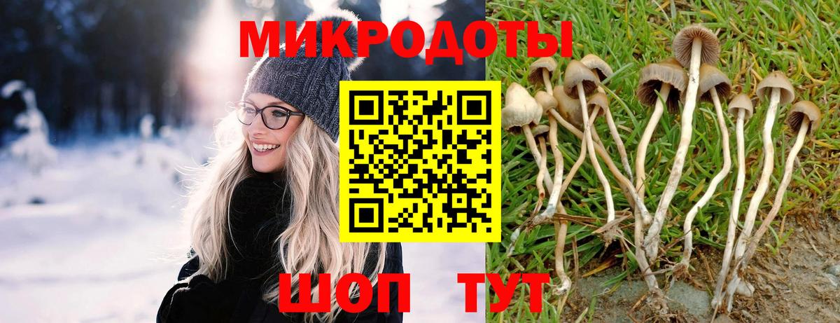 Псилоцибиновые грибы прущие грибы Великий Новгород