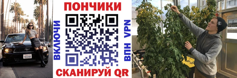 MEGA ONION  Великий Новгород  Канабис план 